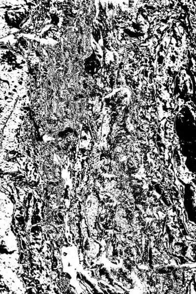 Soyut siyah beyaz arka plan. monokrom dokusu.