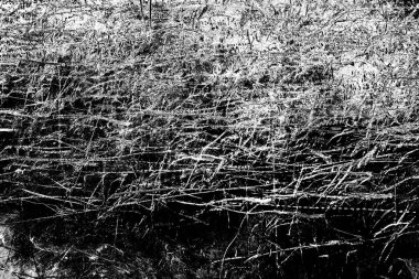 Soyut siyah beyaz arka plan. monokrom dokusu.
