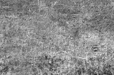 Soyut grunge arkaplanı. Monokrom dokusu. Siyah ve beyaz desenli arkaplan