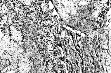 Soyut ahşap arka plan. Siyah ve beyaz tonlar 