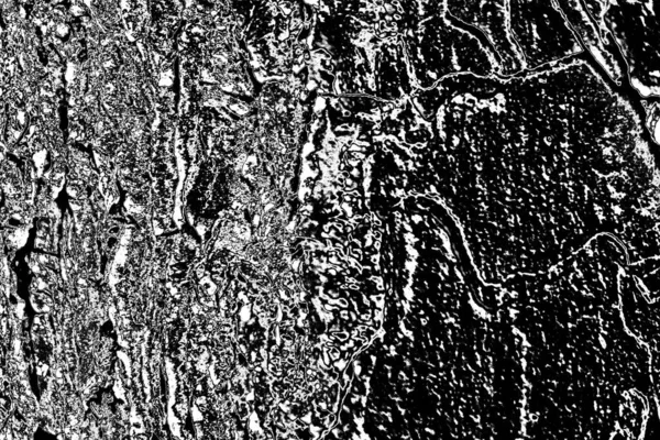 Fond Bois Abstrait Tons Noir Blanc — Photo