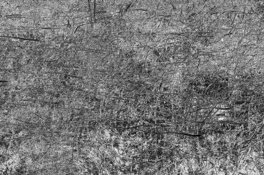 Soyut grunge arkaplanı. Monokrom dokusu. Siyah ve beyaz desenli arkaplan