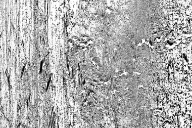 Tahtadaki termit deseni