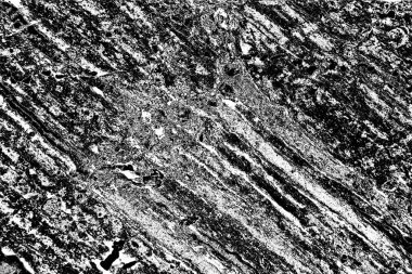 Soyut grunge arkaplanı. Monokrom dokusu. Siyah ve beyaz desenli arkaplan