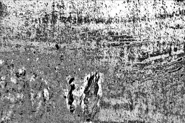 Résumé Fond Grunge Texture Monochrome Fond Texturé Noir Blanc — Photo