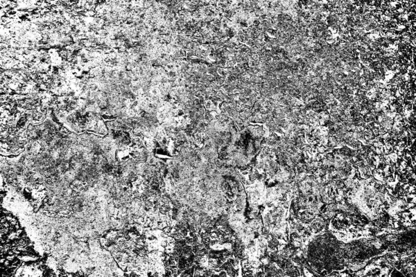 Sfondo Astratto Bianco Nero Texture Monocromatica — Foto Stock