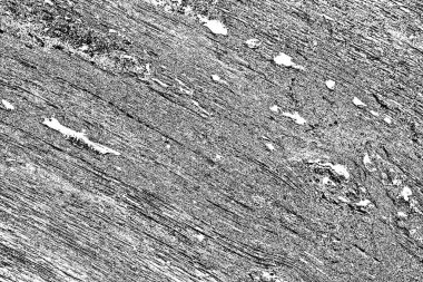 Soyut ahşap arka plan. Siyah ve beyaz tonlar