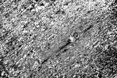 Soyut siyah beyaz arka plan. monokrom dokusu.