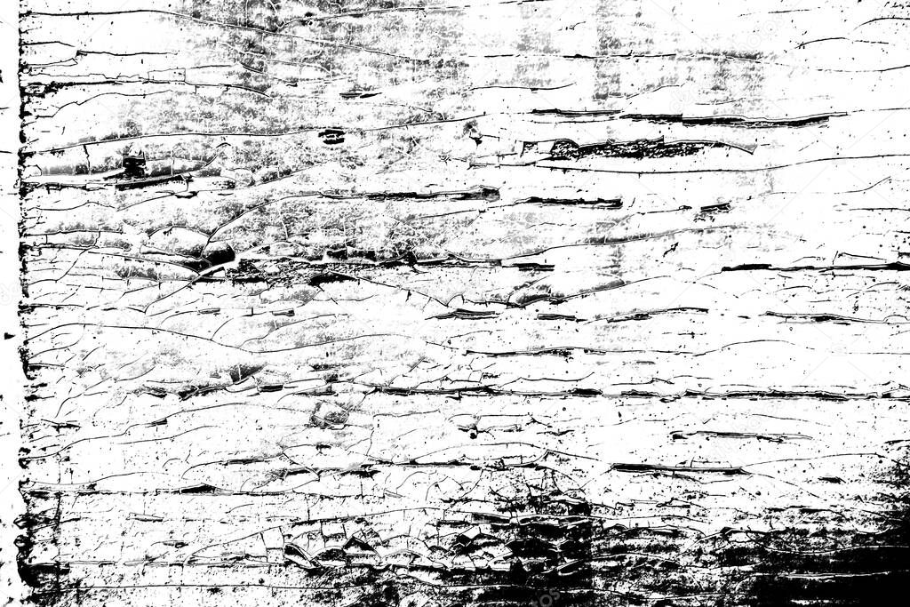 Abstract black and white background. Monochrome texture.