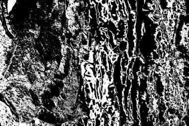 Soyut ahşap arka plan. Siyah ve beyaz tonlar