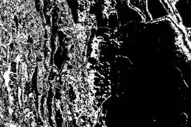 Soyut ahşap arka plan. Siyah ve beyaz tonlar