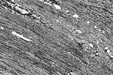 Soyut ahşap arka plan. Siyah ve beyaz tonlar 