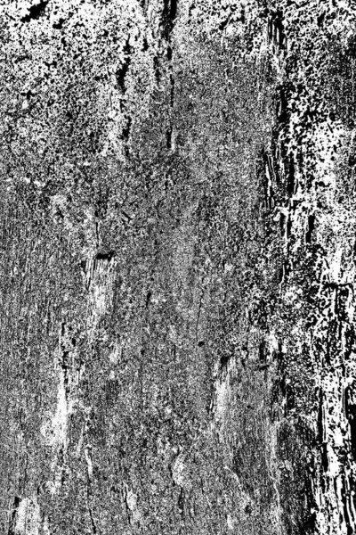 Fundal Abstract Din Lemn Tonuri Alb Negru — Fotografie, imagine de stoc