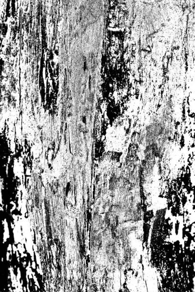 Fondo Madera Abstracto Tonos Blanco Negro — Foto de Stock