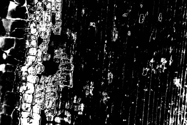 Résumé Fond Grunge Texture Monochrome Fond Texturé Noir Blanc — Photo