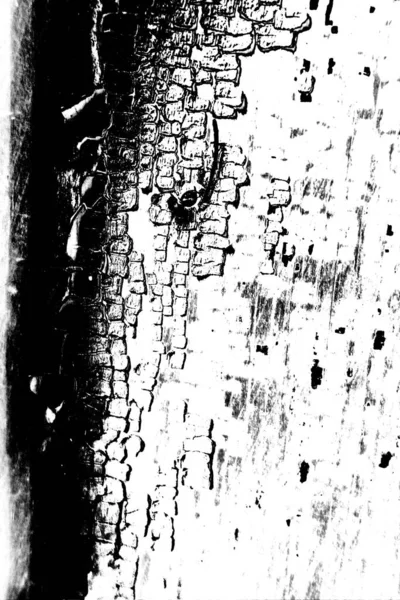 Fundo Grunge Abstrato Textura Monocromática Preto Branco Texturizado Fundo — Fotografia de Stock