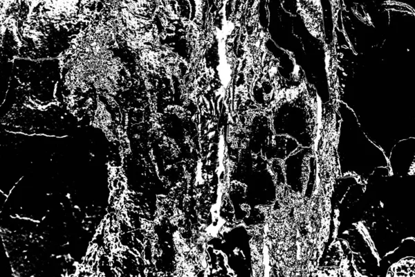 Абстрактний Дерев Яний Фон Чорно Білі Тони — стокове фото