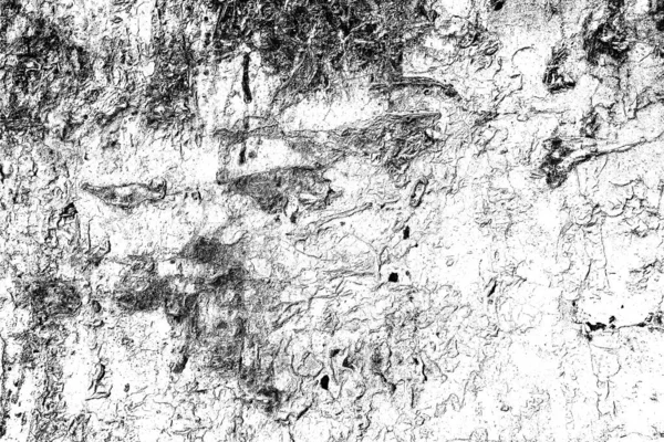 Abstract Grunge Background Monochrome Texture Black White Textured Background — Stock Photo, Image