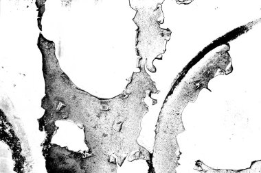 Soyut grunge arkaplanı. Monokrom dokusu. Siyah ve beyaz desenli arkaplan