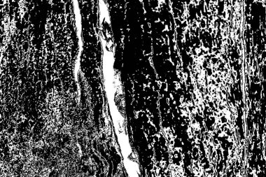 Soyut ahşap arka plan. Siyah ve beyaz tonlar