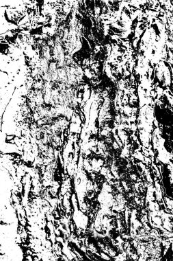 Soyut ahşap arka plan. Siyah ve beyaz tonlar 