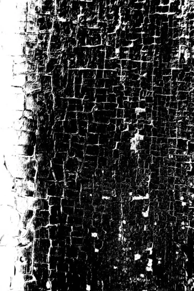 Sfondo Astratto Grunge Struttura Monocromatica Bianco Nero Sfondo Strutturato — Foto Stock