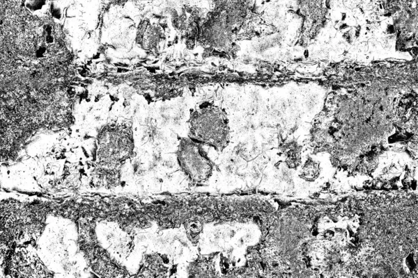 Fondo Grunge Abstracto Textura Monocromática Fondo Texturizado Blanco Negro —  Fotos de Stock