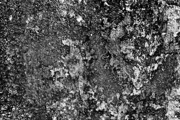 Abstract Grunge Background Monochrome Texture Black White Textured Background — Stock Photo, Image