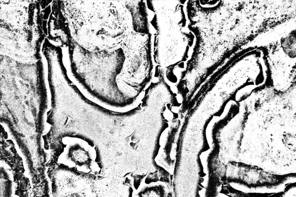 Fondo Grunge Abstracto Textura Monocromática Fondo Texturizado Blanco Negro —  Fotos de Stock