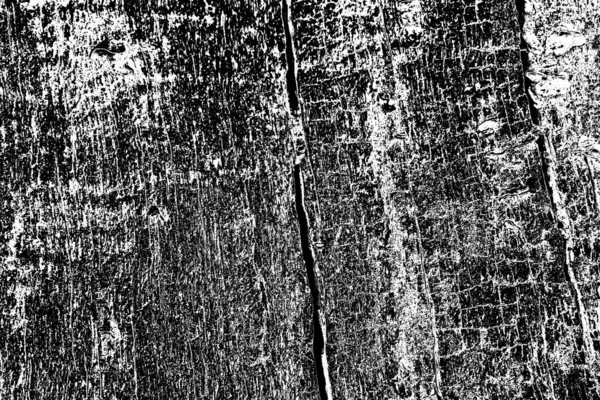 Abstract wooden background. Black and white tones