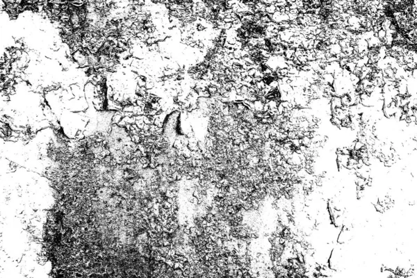 Résumé Fond Grunge Texture Monochrome Fond Texturé Noir Blanc — Photo