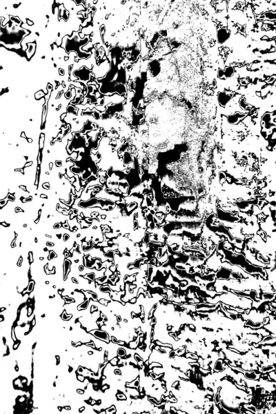 木材中的白蚁图案 — 图库照片
