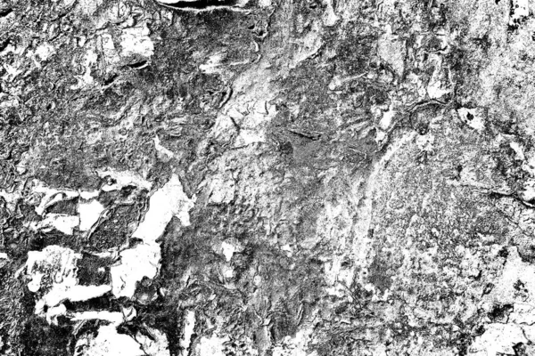 Fondo Grunge Abstracto Textura Monocromática Fondo Texturizado Blanco Negro — Foto de Stock