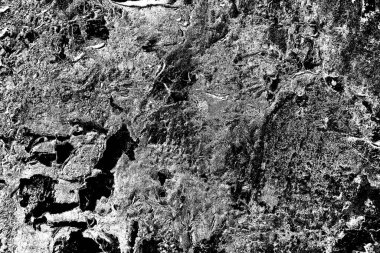 Soyut grunge arkaplanı. Monokrom dokusu. Siyah ve beyaz desenli arkaplan