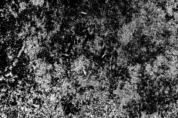 Résumé Fond Grunge Texture Monochrome Fond Texturé Noir Blanc — Photo