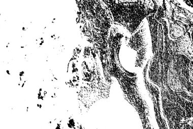 Grunge siyah ve beyaz tonlarda soyut arka plan kavramı