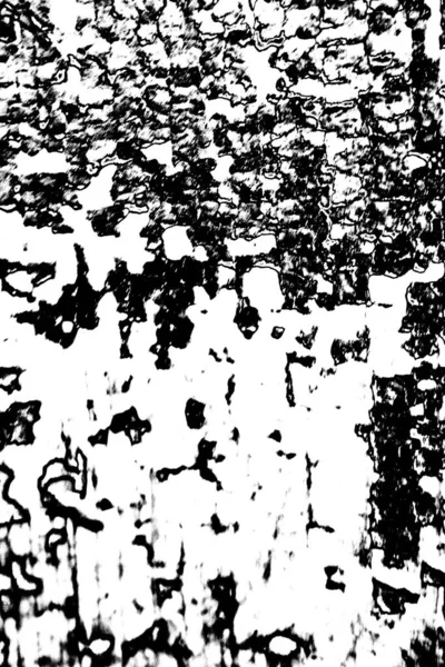 Гранд Абстрактний Фон Концепції Чорно Білих Тонах — стокове фото