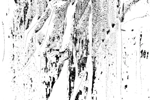 Abstracte Achtergrond Monochrome Textuur Zwart Wit Textuur Achtergrond — Stockfoto