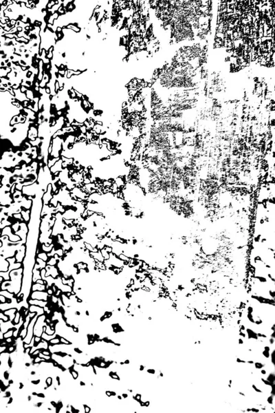 木材中のシロアリのパターン — ストック写真