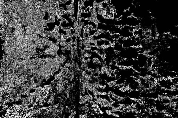 Model Termite Lemn — Fotografie, imagine de stoc