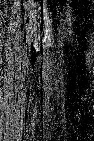 Fondo Abstracto Blanco Negro Textura Monocromática — Foto de Stock