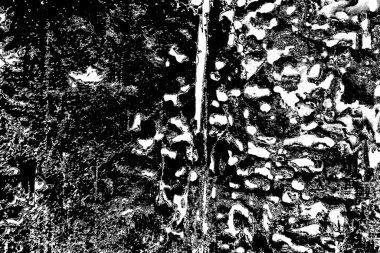 Tahtadaki termit deseni