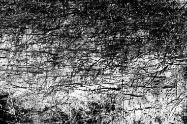 Soyut arkaplan. Monokrom dokusu. Siyah ve beyaz desenli arkaplan.      