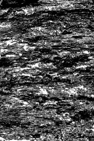 Fundo Abstrato Textura Monocromática Preto Branco Texturizado Fundo — Fotografia de Stock