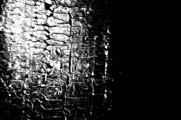 Fondo Abstracto Blanco Negro Textura Monocromática — Foto de Stock