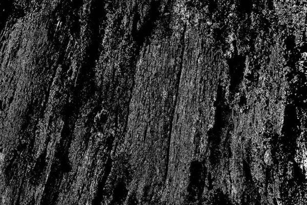 Fondo Abstracto Blanco Negro Textura Monocromática —  Fotos de Stock