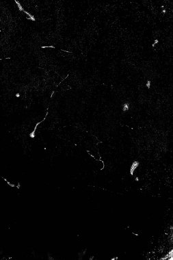 Soyut grunge arkaplanı. Monokrom dokusu. Siyah ve beyaz desenli arkaplan