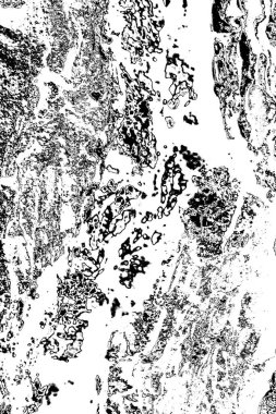 Soyut doku arkaplanı, gri duvar kağıdı