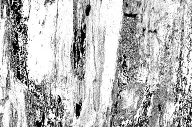 Soyut grunge arkaplanı. Monokrom dokusu. Siyah ve beyaz desenli arkaplan