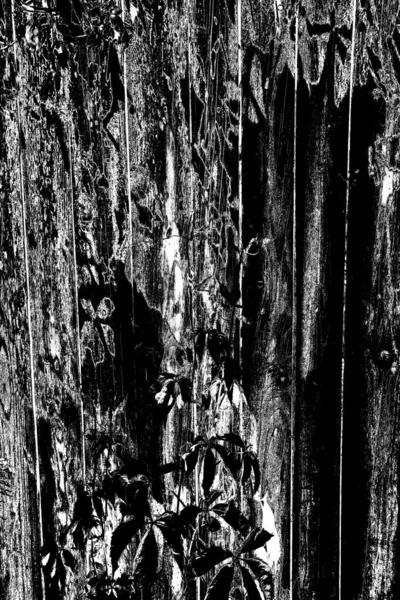 Sfondo Astratto Grunge Struttura Monocromatica Bianco Nero Sfondo Strutturato — Foto Stock